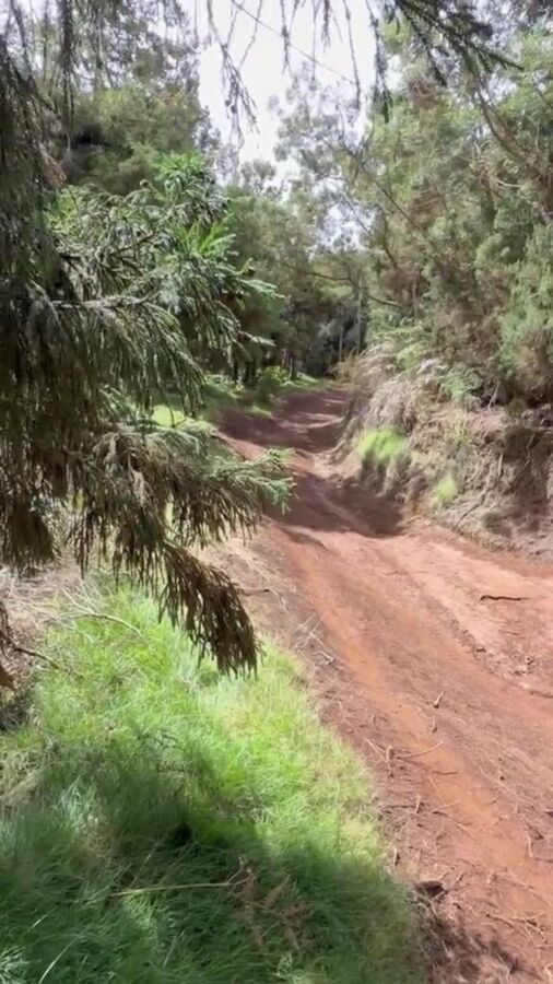 Vignette vidéo : sentier forestier en terre battue